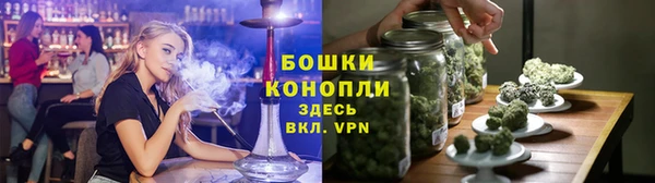 твердый Абаза
