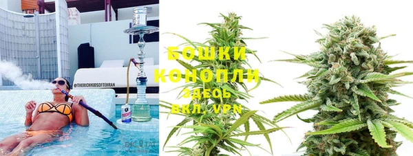 шишки Алексеевка