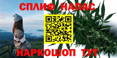 кокс Можайск