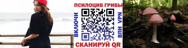 как найти закладки  Ржев  Галлюциногенные грибы Magic Shrooms 