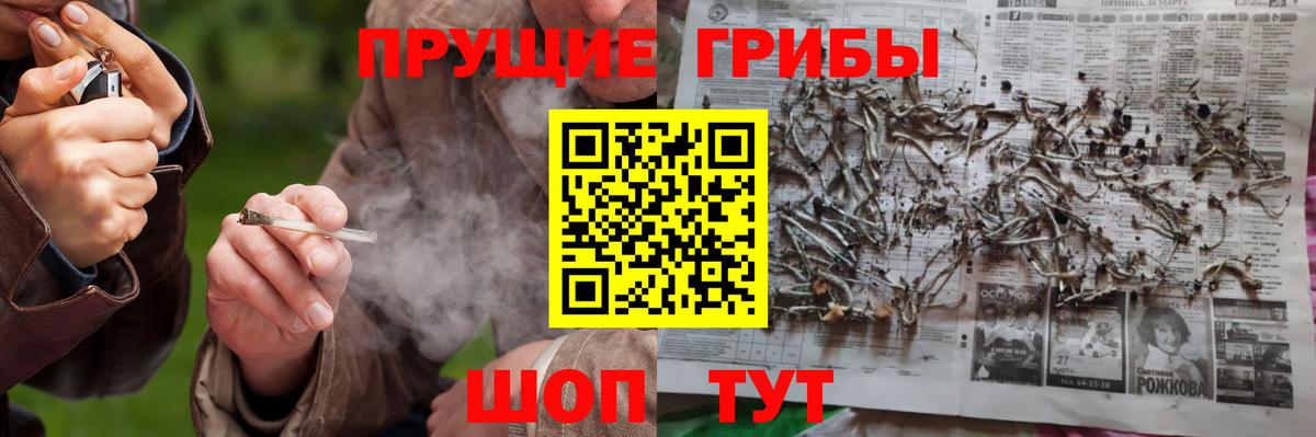 Псилоцибиновые грибы GOLDEN TEACHER Ржев
